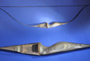 Recurve Bows