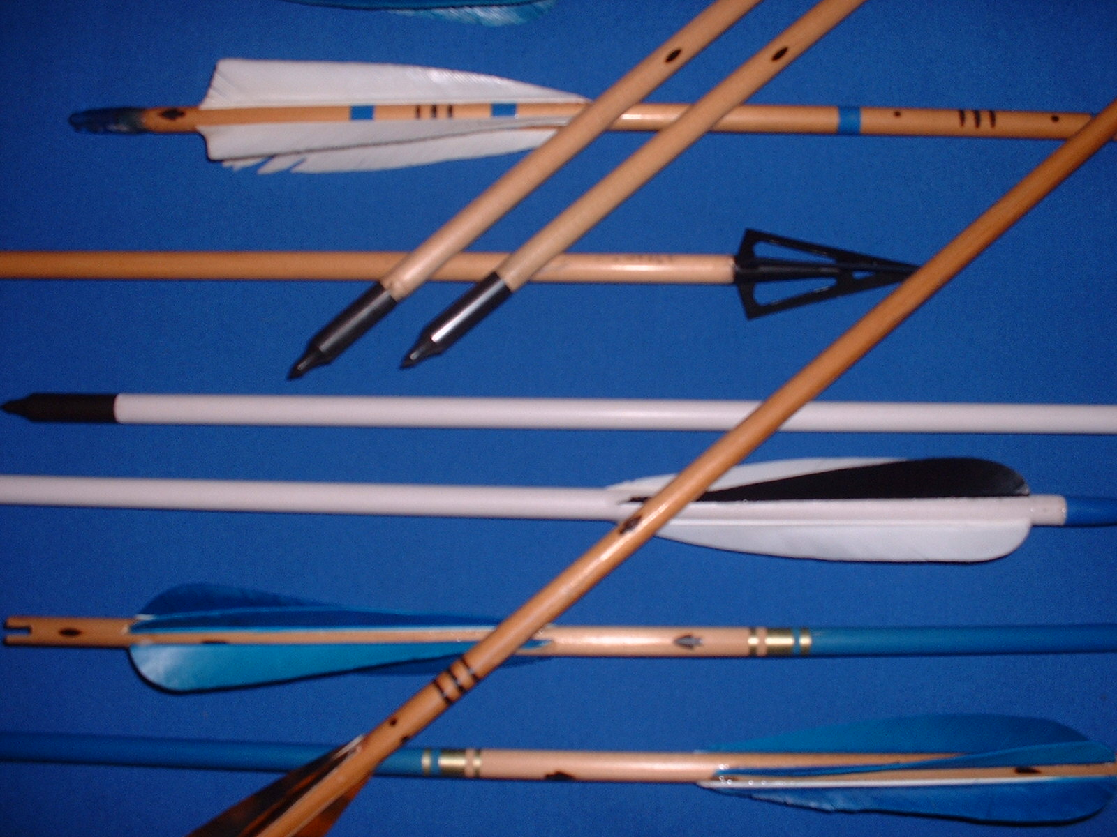 American shop archery supply